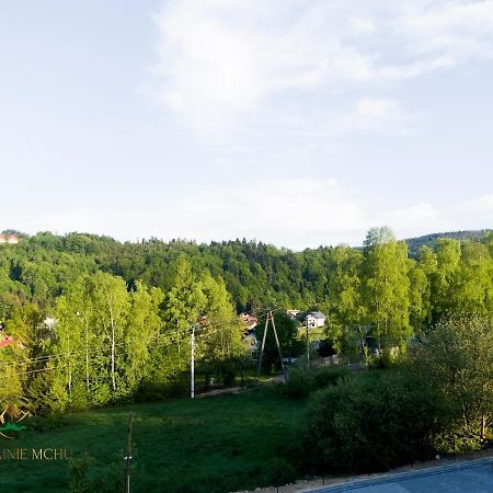 Apartamenty "Kwiaty Nocy" I "W Krainie Mchu" - Wisla Luaran gambar