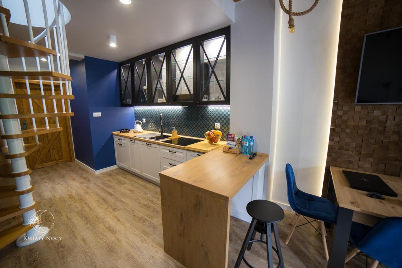 Apartamenty "Kwiaty Nocy" I "W Krainie Mchu" - Wisla Luaran gambar