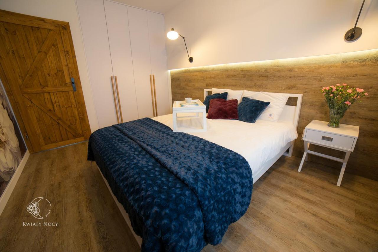 Apartamenty "Kwiaty Nocy" I "W Krainie Mchu" - Wisla Luaran gambar
