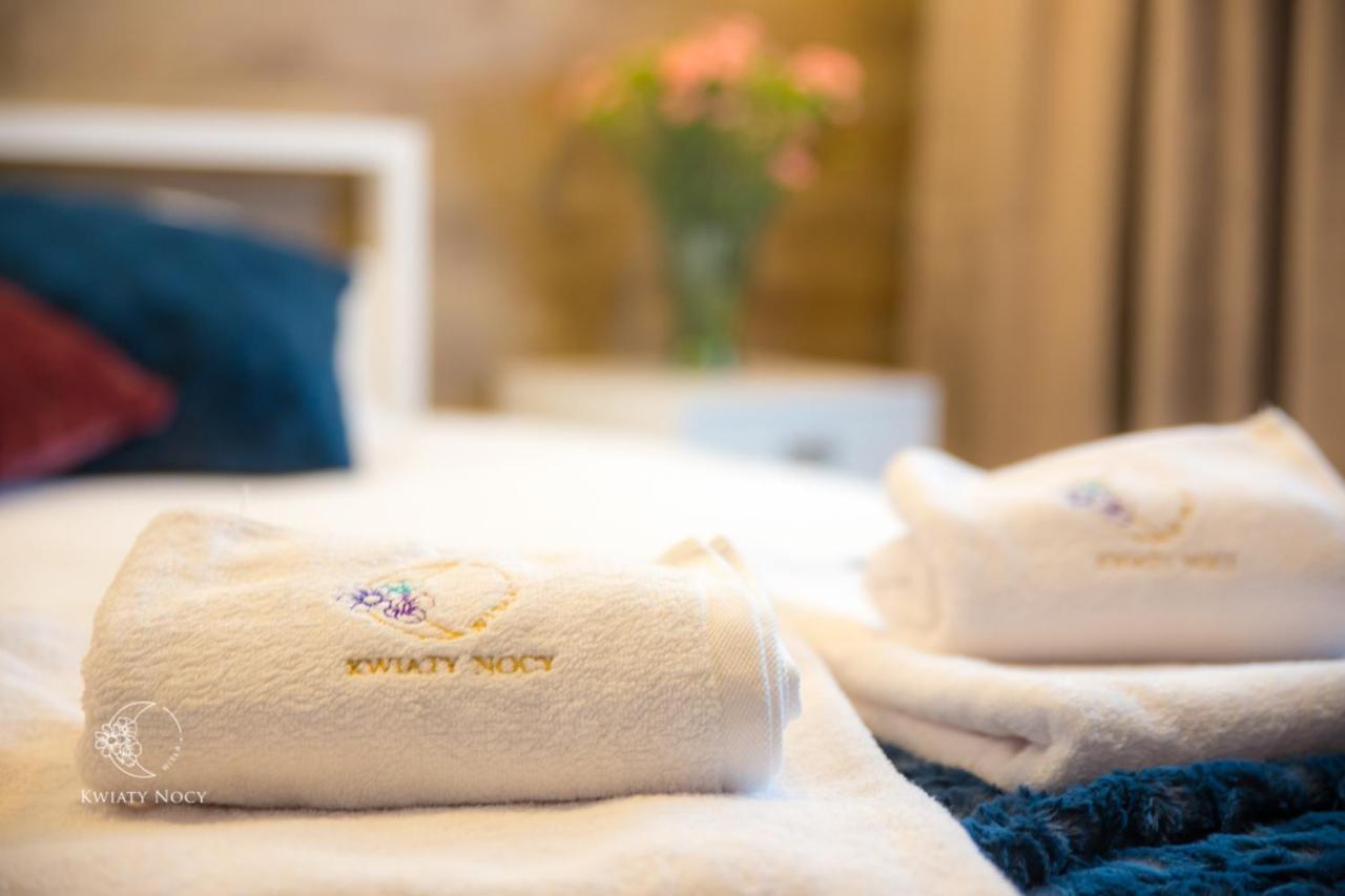 Apartamenty "Kwiaty Nocy" I "W Krainie Mchu" - Wisla Luaran gambar