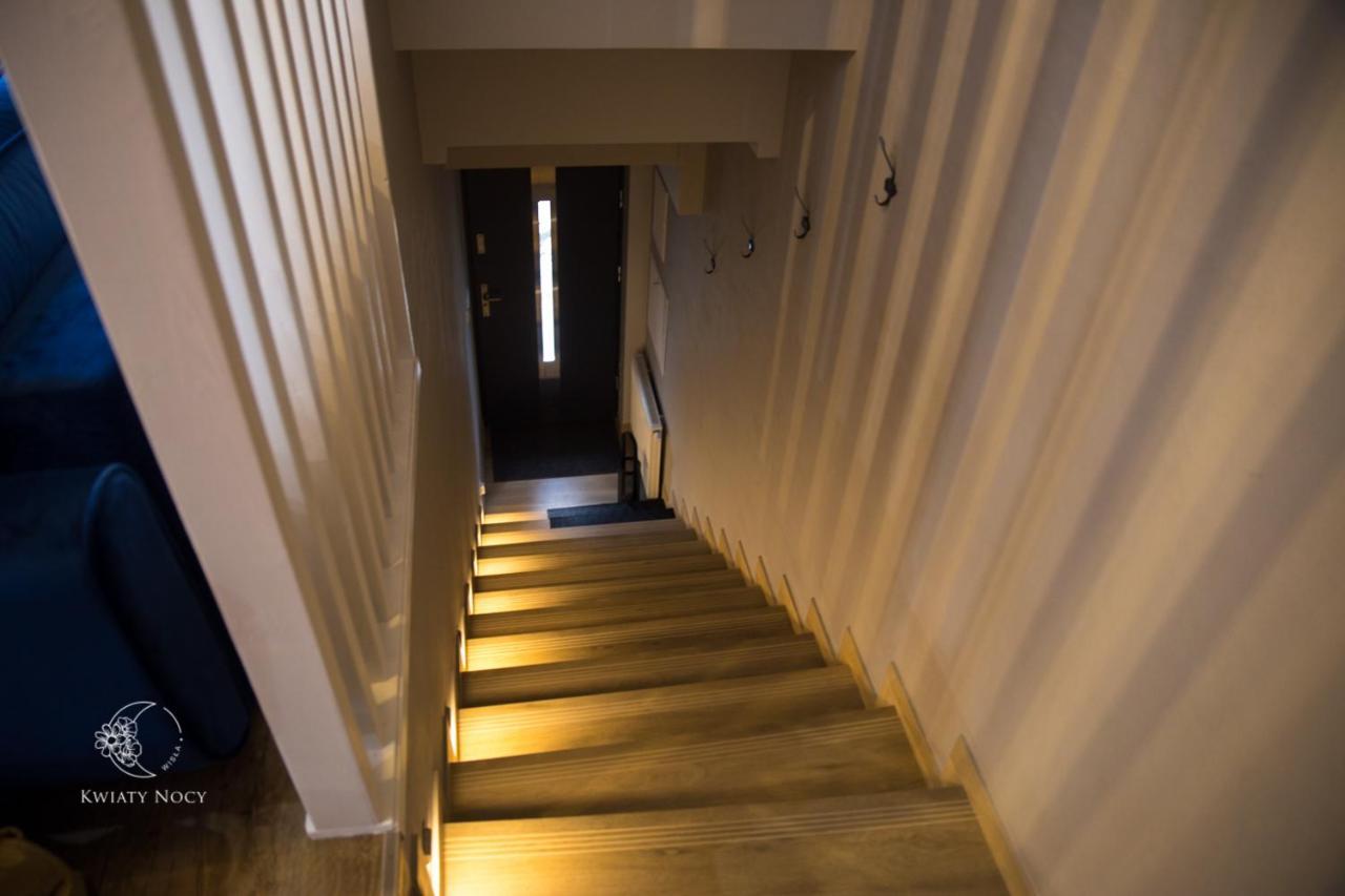 Apartamenty "Kwiaty Nocy" I "W Krainie Mchu" - Wisla Luaran gambar
