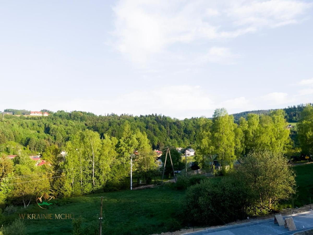 Apartamenty "Kwiaty Nocy" I "W Krainie Mchu" - Wisla Luaran gambar