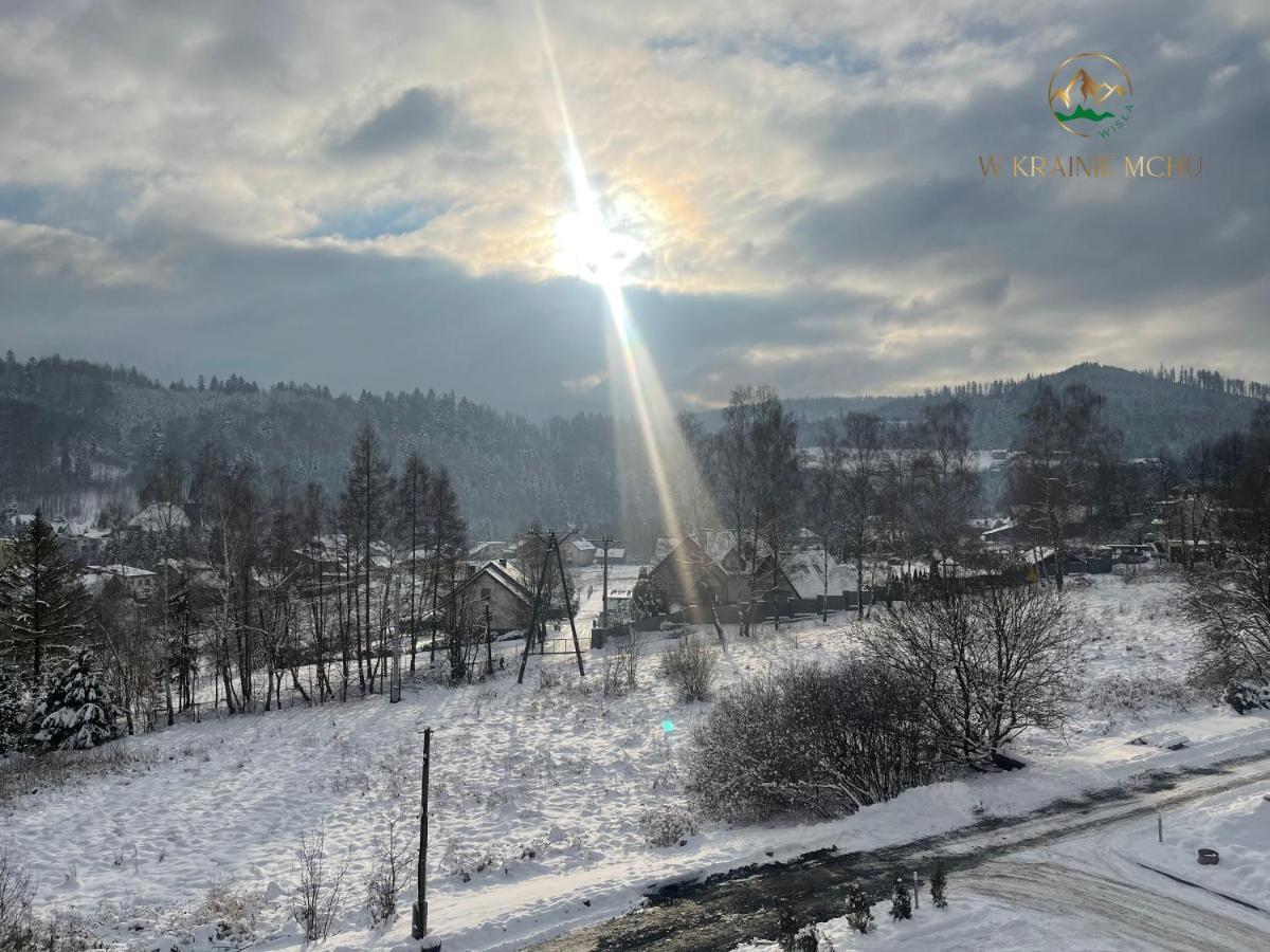 Apartamenty "Kwiaty Nocy" I "W Krainie Mchu" - Wisla Luaran gambar